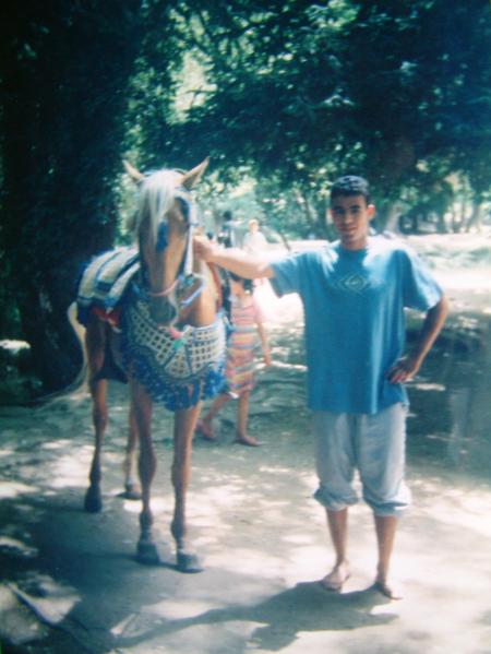 le cheval de vitel
