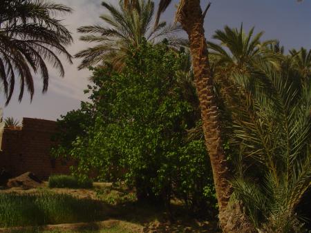 un autre jardin