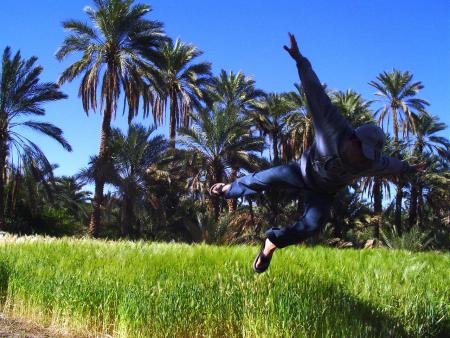 le saut