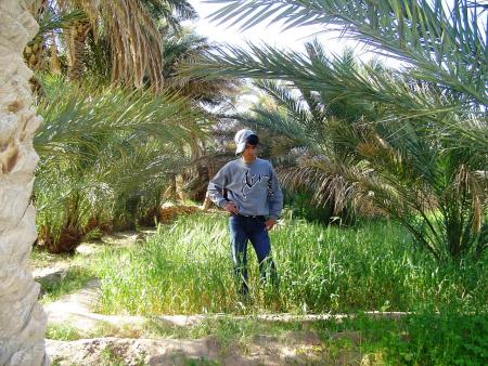 ismail ismail