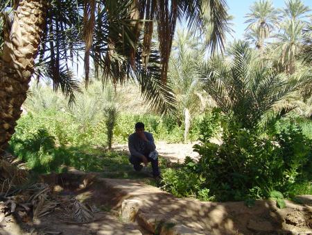 l ghabate