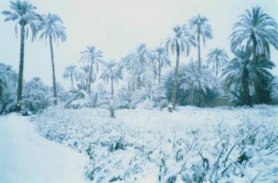 FIGUIG SOUS LA NEIGE