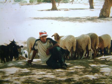 LES MOUTONS DE KHARWAA